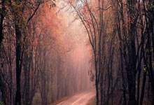 英超-麦迪逊双响 曼城0-4不敌热刺各赛事五连败.