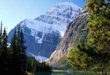 爱游戏官网:韵动节拍|春和景明 运动满分.