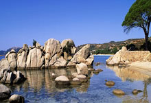 弈客围棋17小时前.